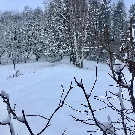 U Pamatneho Stromu * Ceska Lipa