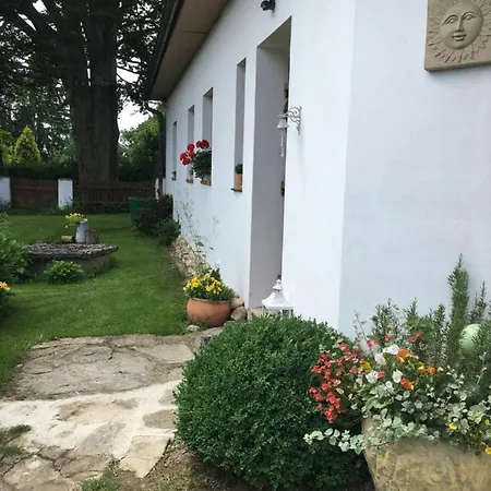 Apartman U Pamatneho Stromu *