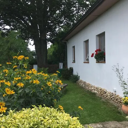 U Pamatneho Stromu Ceska Lipa
