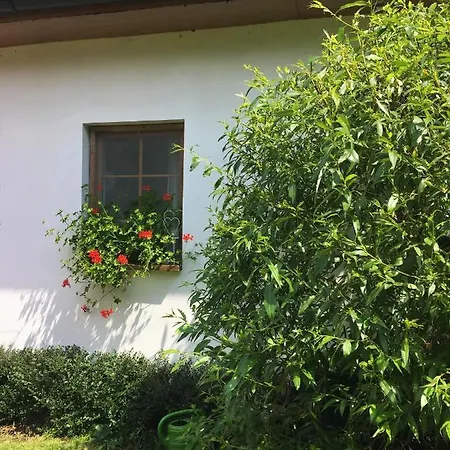 דירה Apartman U Pamatneho Stromu *