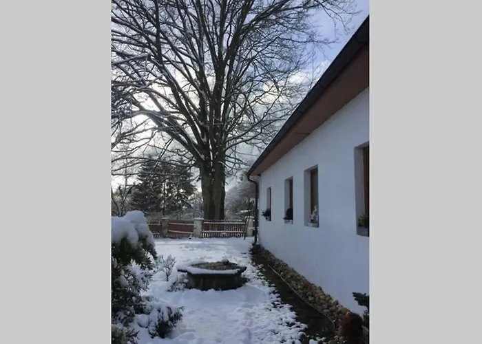 U Pamatneho Stromu Apartmán