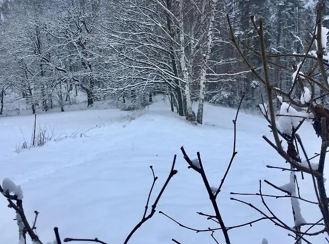 U Pamatneho Stromu * Česká Lípa
