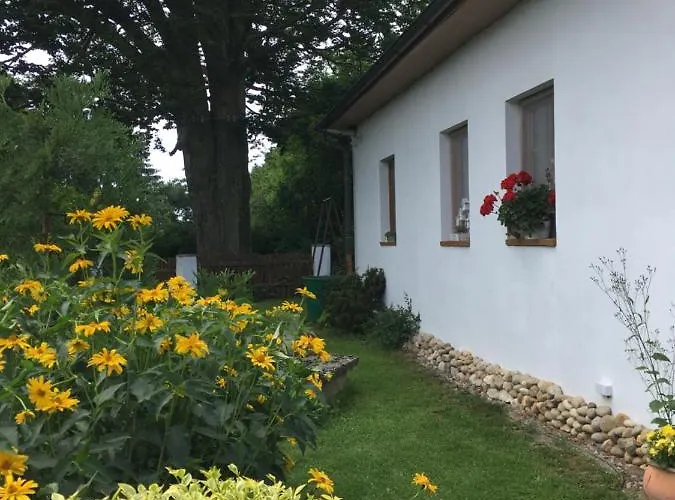 U Pamatneho Stromu Ceska Lipa