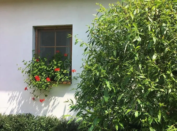 Apartmán U Pamatneho Stromu *